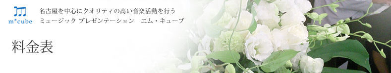 エム・キューブ:料金表